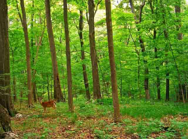 5岁男孩高烧39度 他的父母把他的孩子送到医院治疗 他被告知他需要排队让父母生气