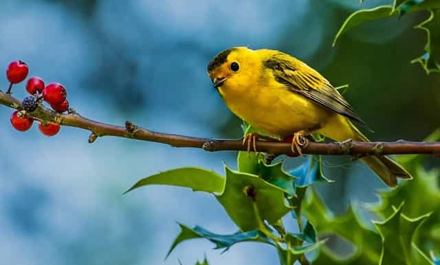 台州市中考分数线公布2020