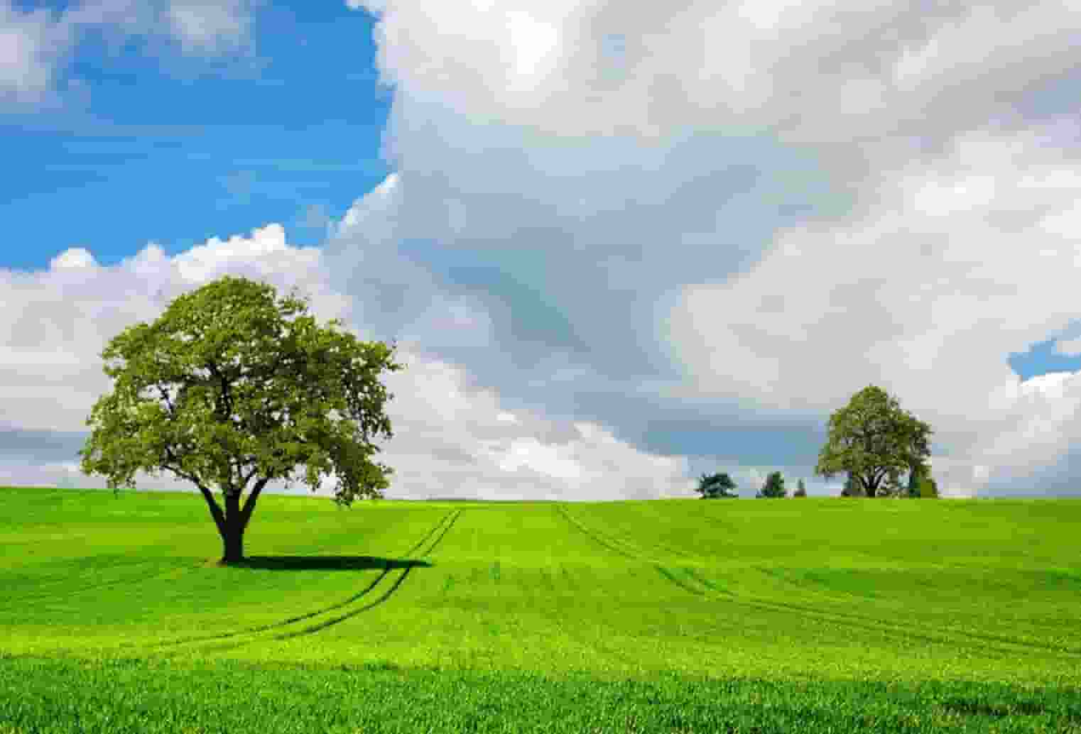 长沙云翼培训学校获喜报，高考小语种助你走进名校大门！