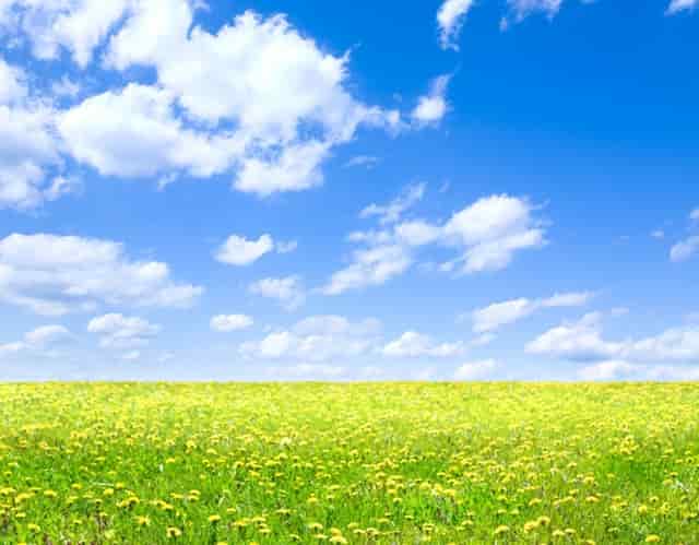 怕幼儿园老师收到礼物 马宝剪掉儿子衣服的标签 老师会委屈:有必要吗