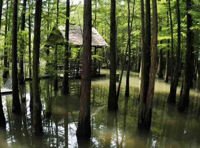 蔡嘉珍成功獲得註冊理財規劃師資格