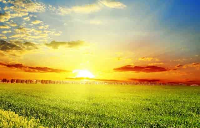 孩子误服毒品怎么办？医生:不是所有的病例都能引起呕吐