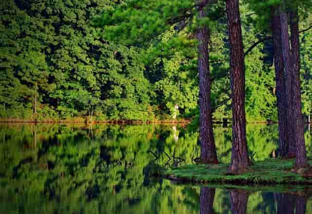 杏仁优护：老年人如何预防消化性疾病？