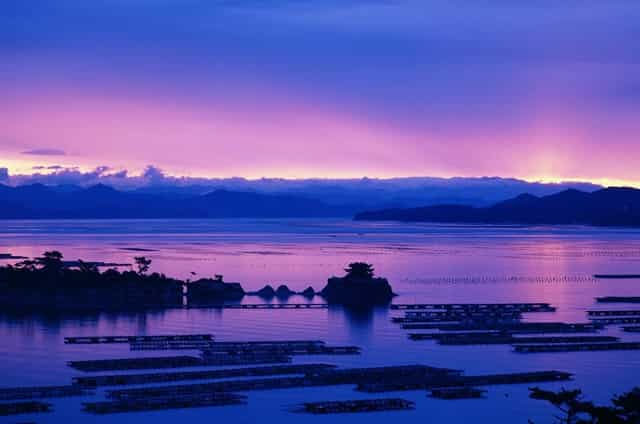 杭州市的最新公交线路(杭州市公交线路查询网)