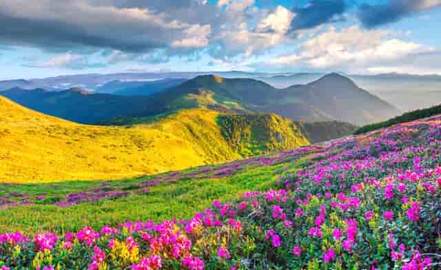 数学类专业难么