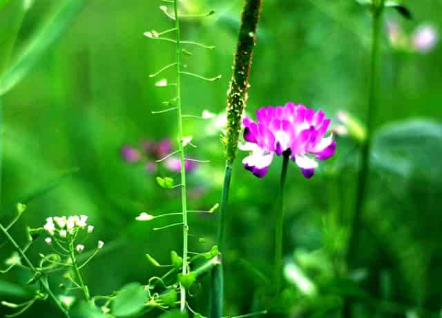 女友一心期待求婚完整版