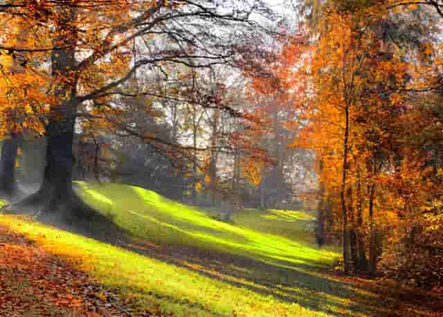 女人怎样让男人更喜欢自己