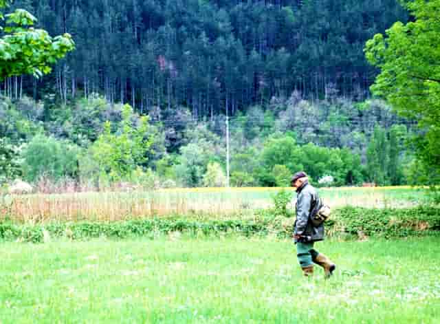 袖虎带来两种狗狗常见肢体语言解读
