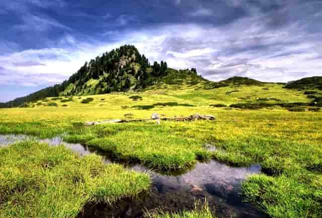 孩子失踪了找专业找人管用吗？怎么找呢?