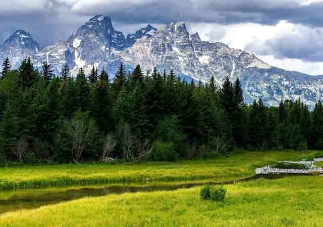 互联网项目和技术