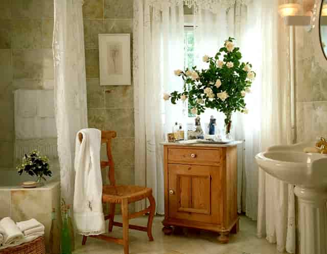 袖虎宠物：宠物线下门店逐渐迎来红利期！值得投资！