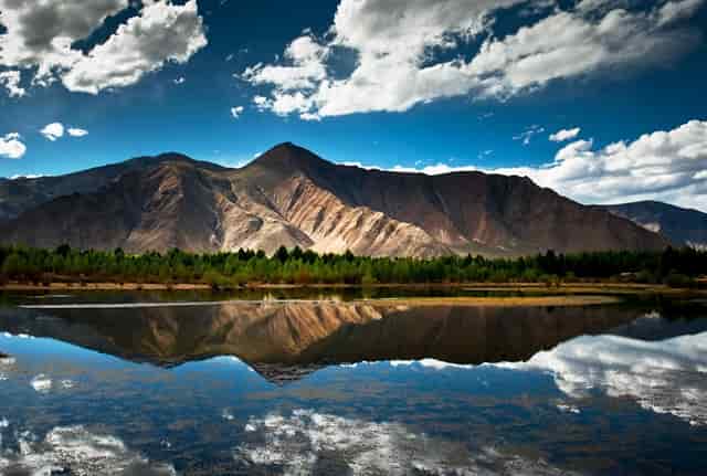 5岁的儿子总想让妈妈舔他的耳朵 但是他舔不到 但是宝宝总是哭的很痒 医院查了解真相