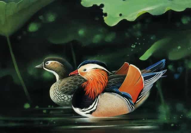 袖虎病狗攻略：狗狗身上有跳蚤怎么办