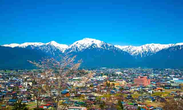 政治上要坚持什么(坚持政治上什么信仰上什么)