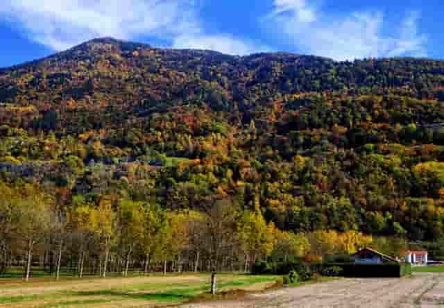 大众迈腾为什么会降价(大众迈腾降价原因查明)