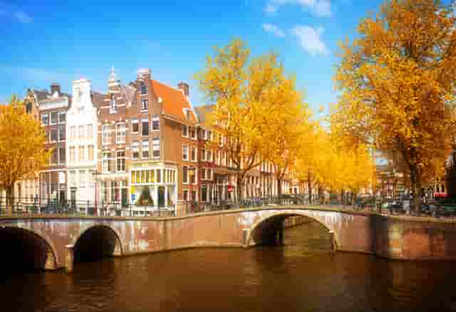 3M欧米茄蝶飞系列424.13.27.60.55.001腕表