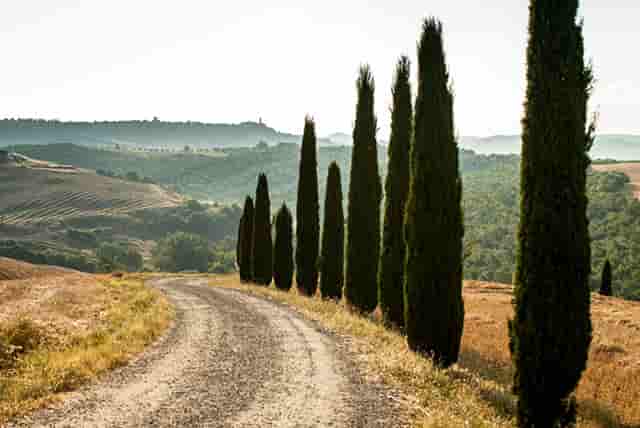 严格防疫打好防控战役(严格落实防疫防控)