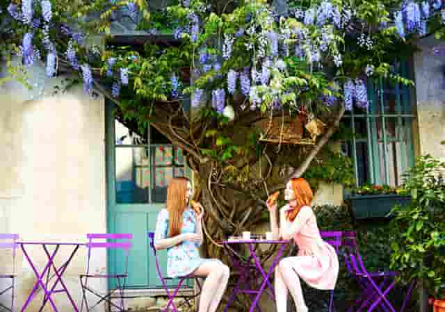 袖虎病猫攻略：对猫过敏怎么办