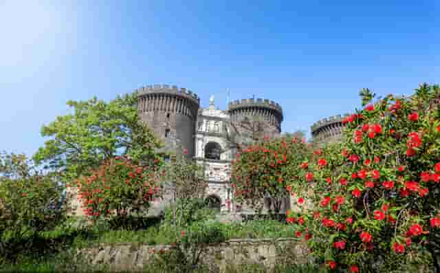 袖虎病猫攻略：猫咪减肥小妙招