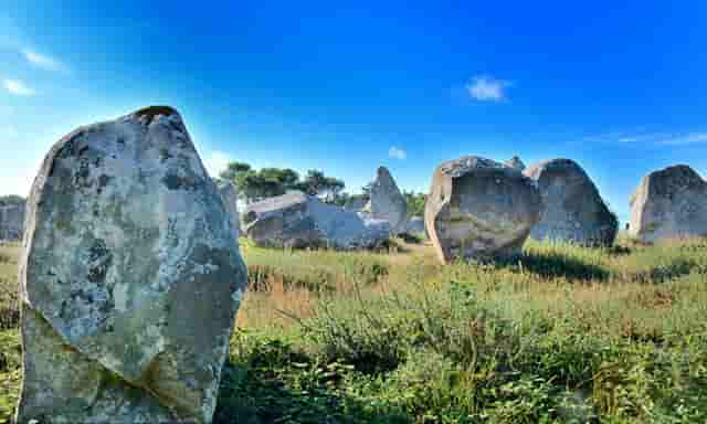 担心加盟宠物店无利可图？袖虎宠物告诉你行业真相!
