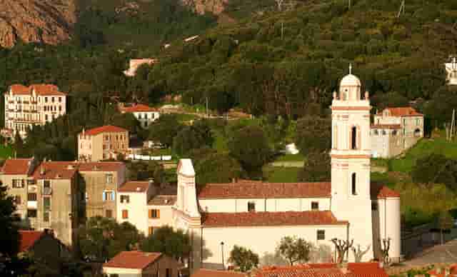 袖虎病猫攻略：加菲猫眼泪能止住吗？