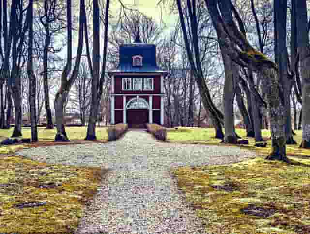 多肉容易化水怎么养(为什么多肉夏天容易化水)