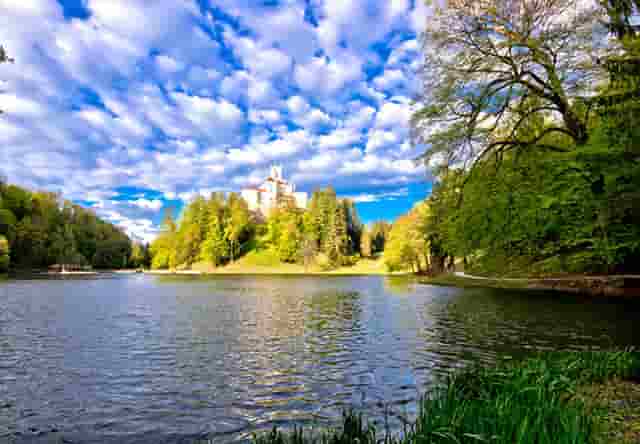 香菇可以放在冰箱冷藏室里冻吗(香菇可以放在冰箱里面冷藏吗)