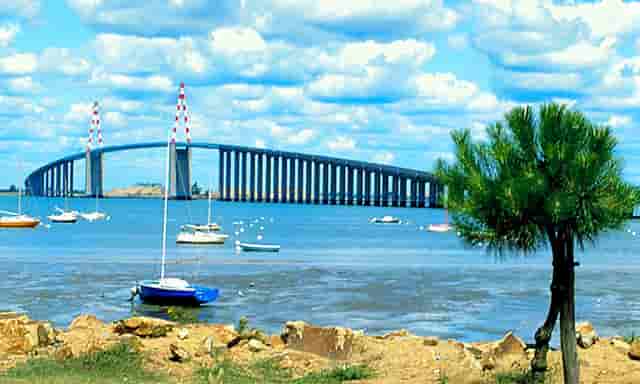 丝瓜冰箱收纳(丝瓜放冰箱好还是外面好)