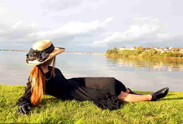 袖虎病猫攻略：猫氨的作用你知道多少？