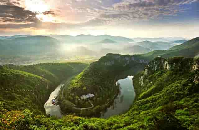 袖虎病猫攻略：猫咪被鱼刺卡住咋办