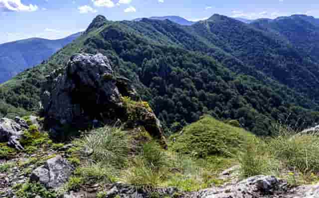 诊所去了一个月还不好(一个月婴儿可以去诊所吗)