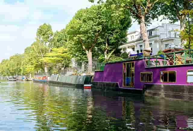 养宠垃圾处理，袖虎的建议在这里！