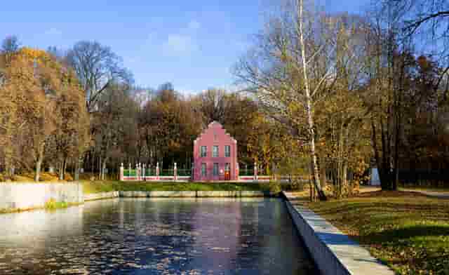 新时期怎么做党员(新时期党员教师应该怎么做)