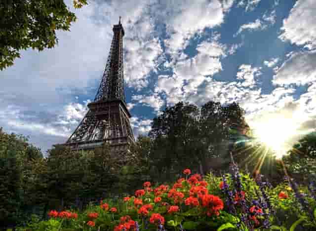 袖虎病猫攻略：猫咪需要挤肛门腺吗？