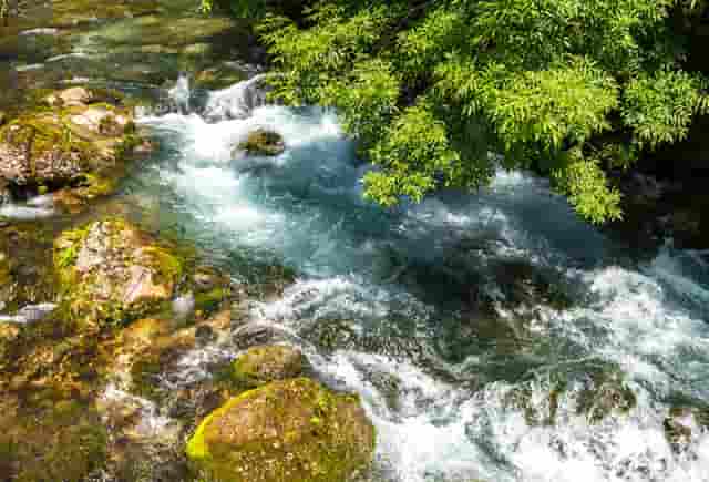 袖虎列举加盟坑钱的那些破事
