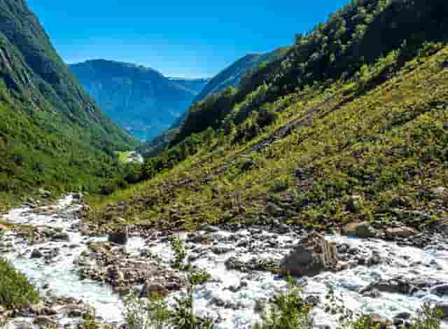 为什么硫酸入水会放热(硫酸遇到水为什么放热)