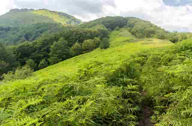 袖虎介绍那些不靠谱的加盟套路
