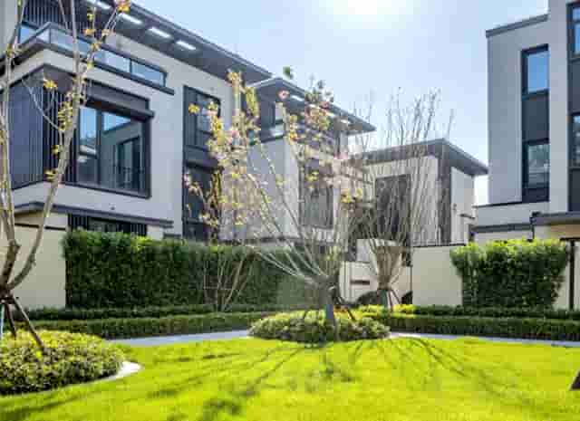 海贼王最初情报(海贼王漫画1008情报)