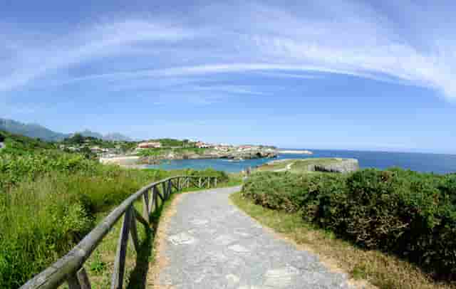 迈科期货亏损骗局？迈科教您如何截断亏损让利润奔跑！