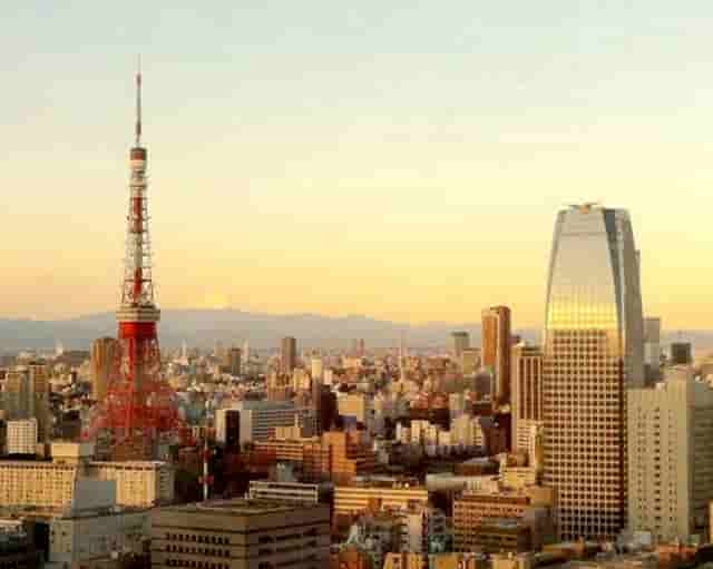 袖虎病猫攻略：猫细小的症状有哪些？